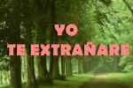 Yo te extrañaré