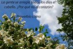 Grandes frases para reflexionar