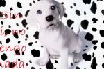 Frases de amor para ti